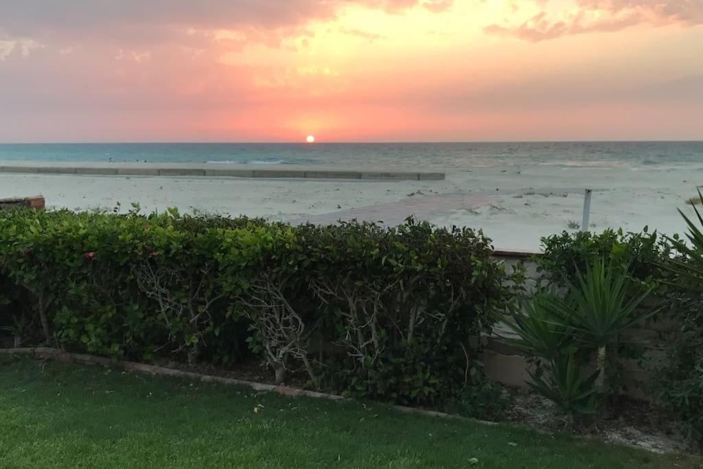 Open Sea View In North Coast